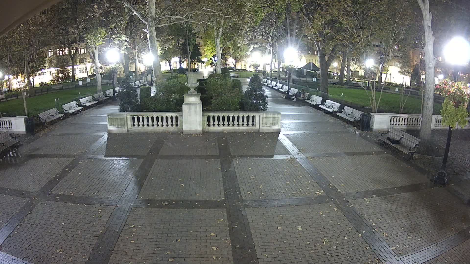 Rittenhouse Square Xmas Tree Cam II