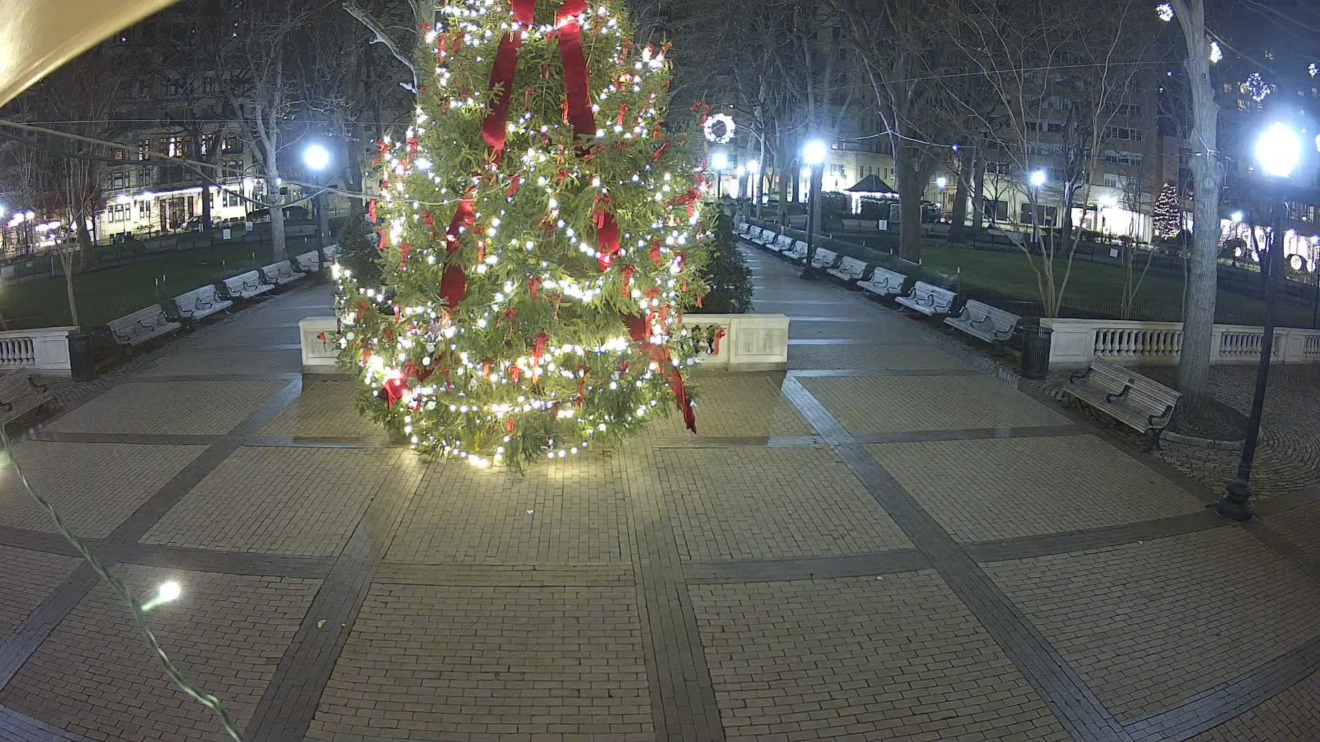Rittenhouse Square Xmas Tree Cam II