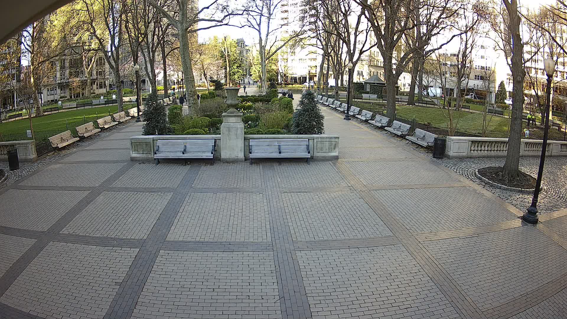 Rittenhouse Square Xmas Tree Cam II