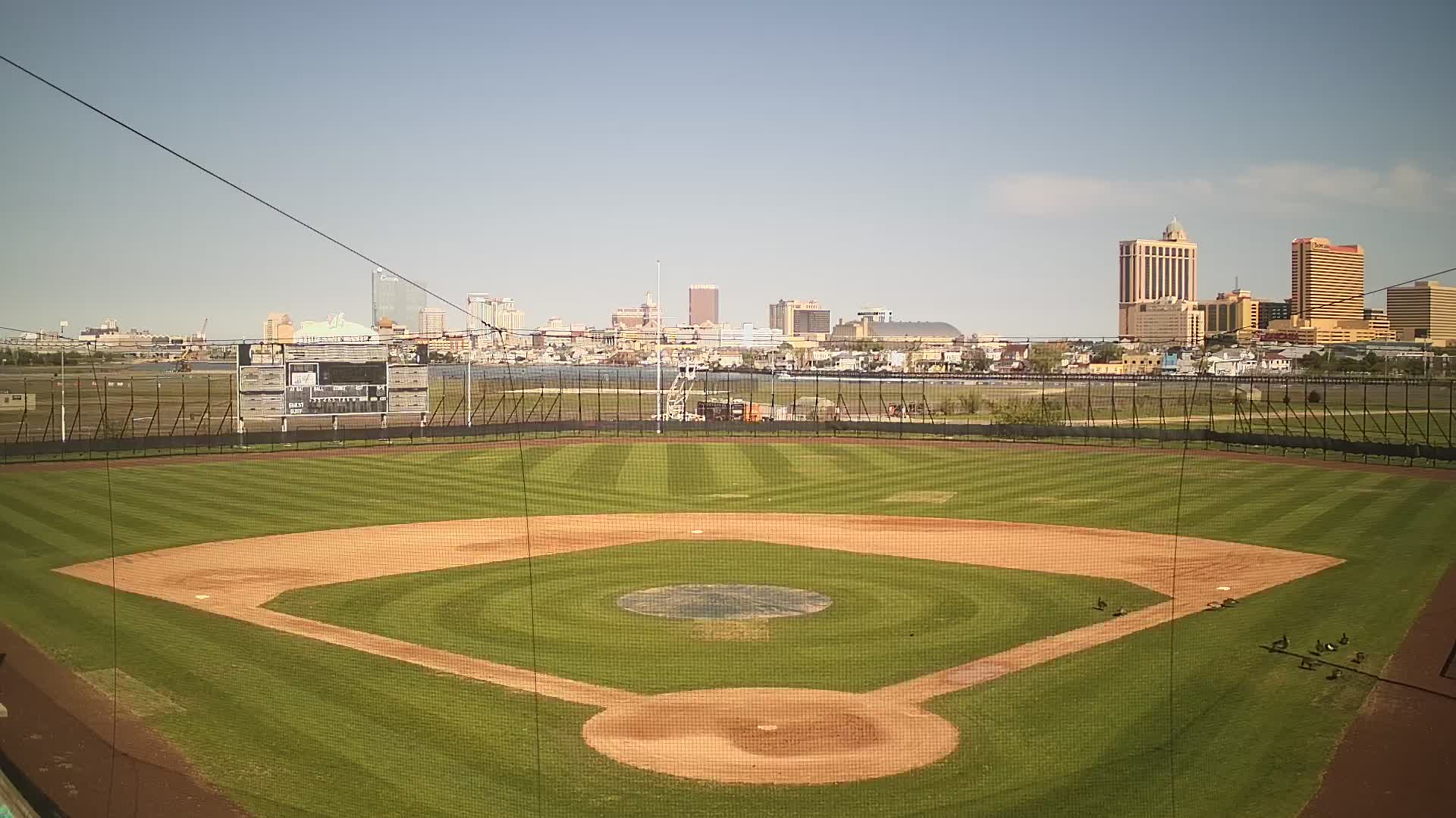 Surf Stadium Field Wide