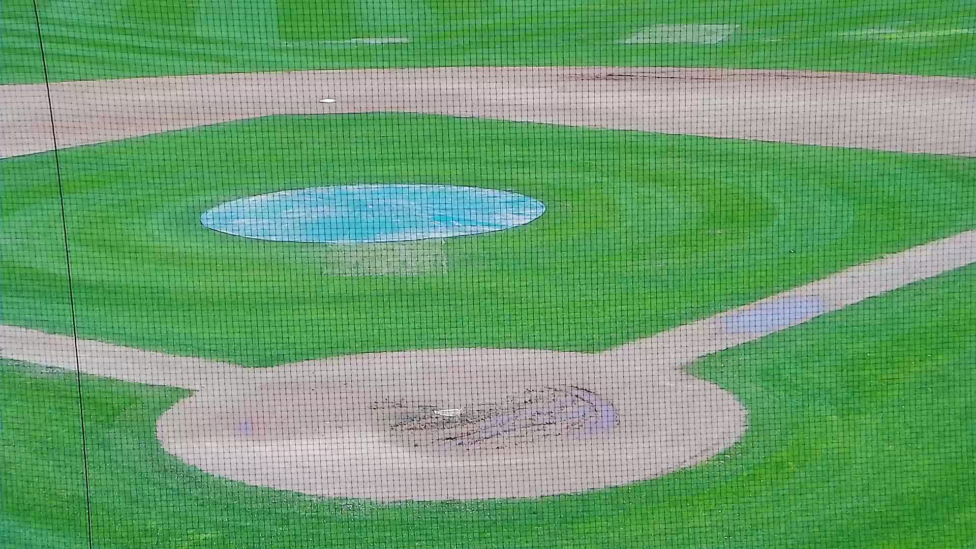 Surf Stadium Field Pitcher and Catcher