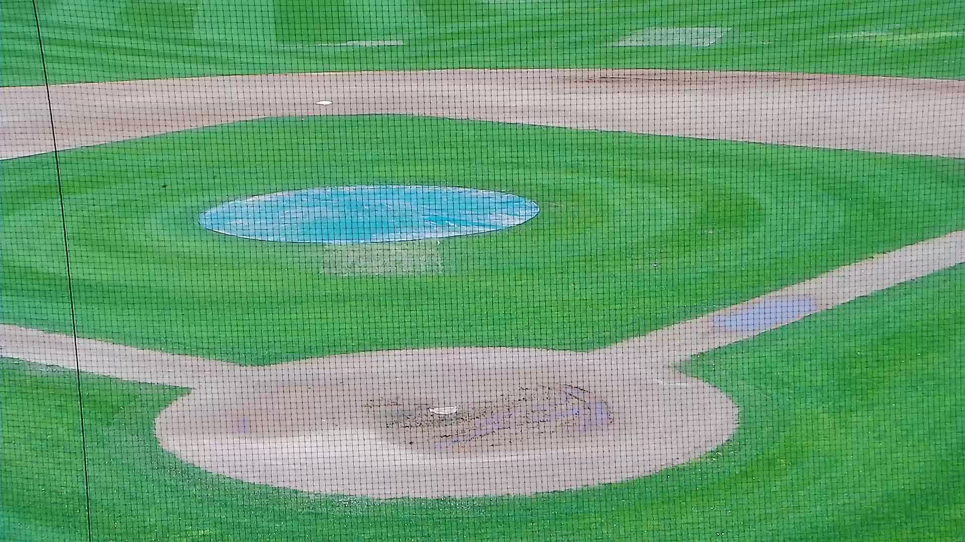 Surf Stadium Field Pitcher and Catcher
