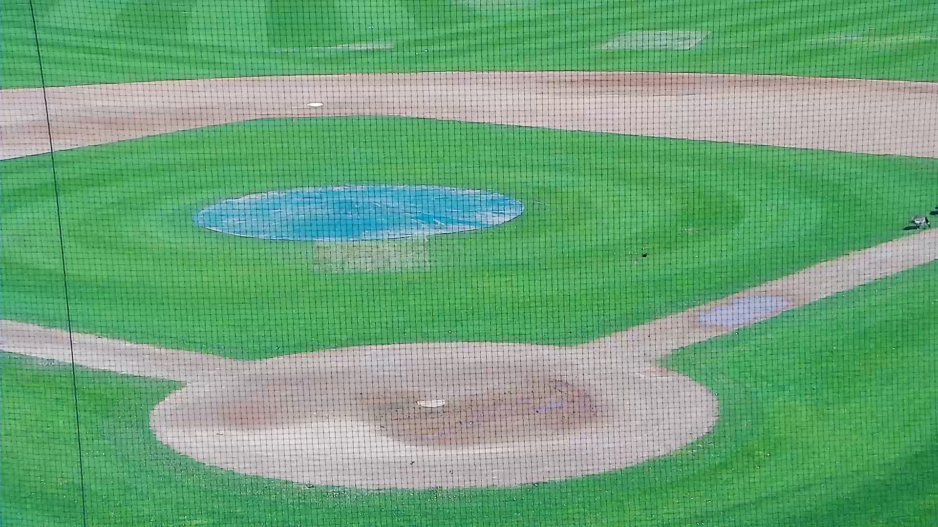 Surf Stadium Field Pitcher and Catcher