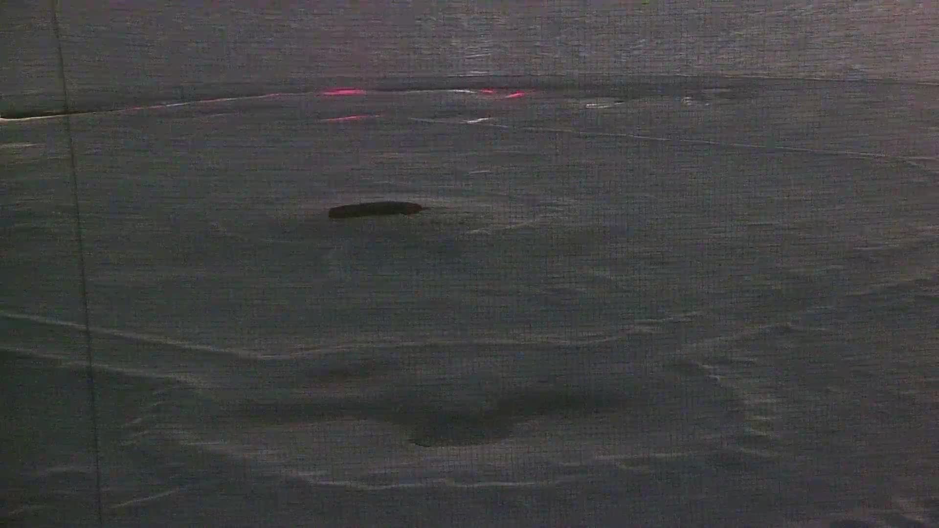 Surf Stadium Field Pitcher and Catcher