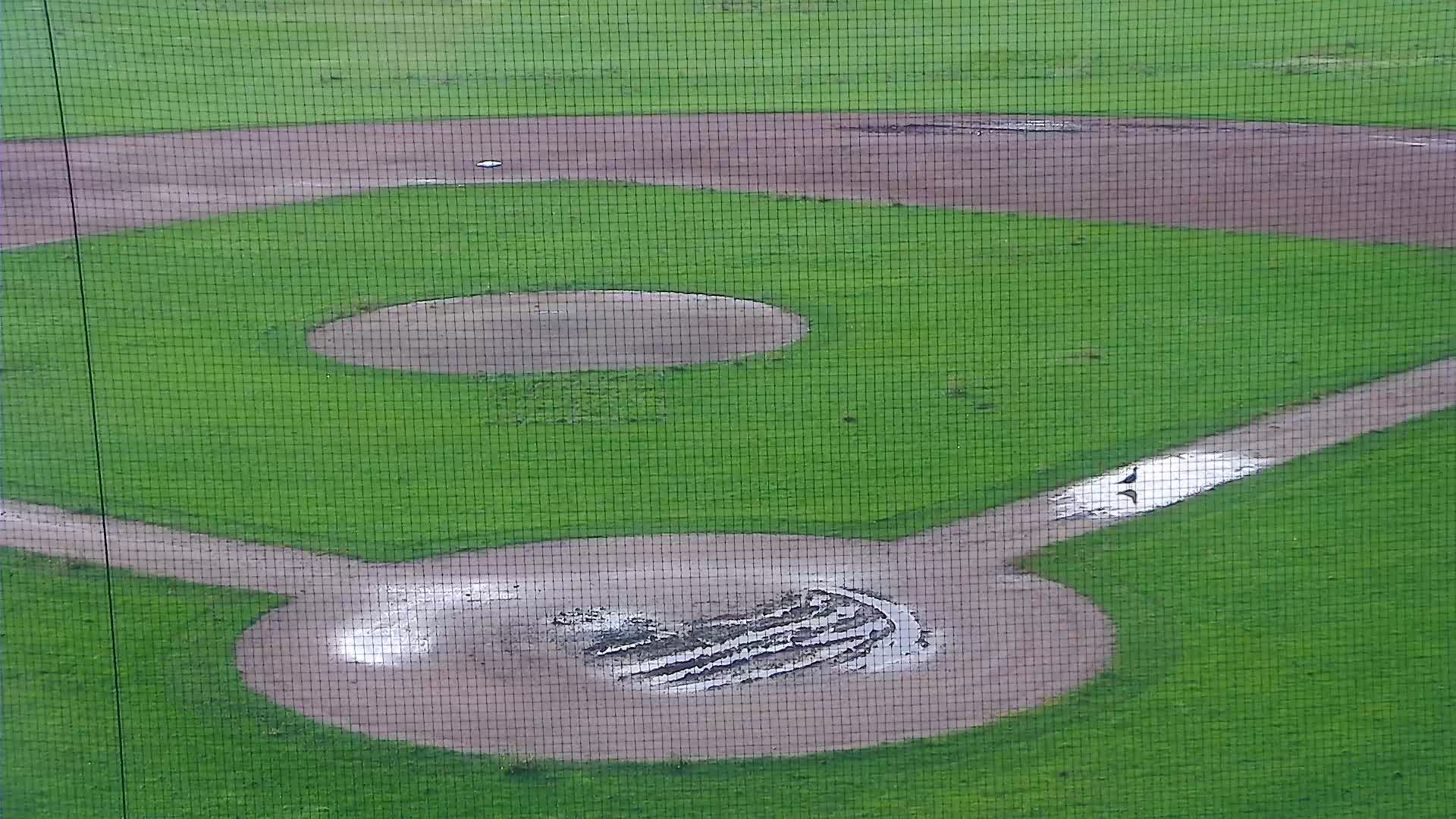 Surf Stadium Field Pitcher and Catcher