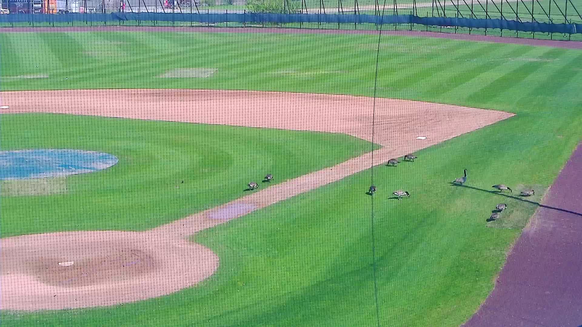 Surf Stadium Field 1st Base Side