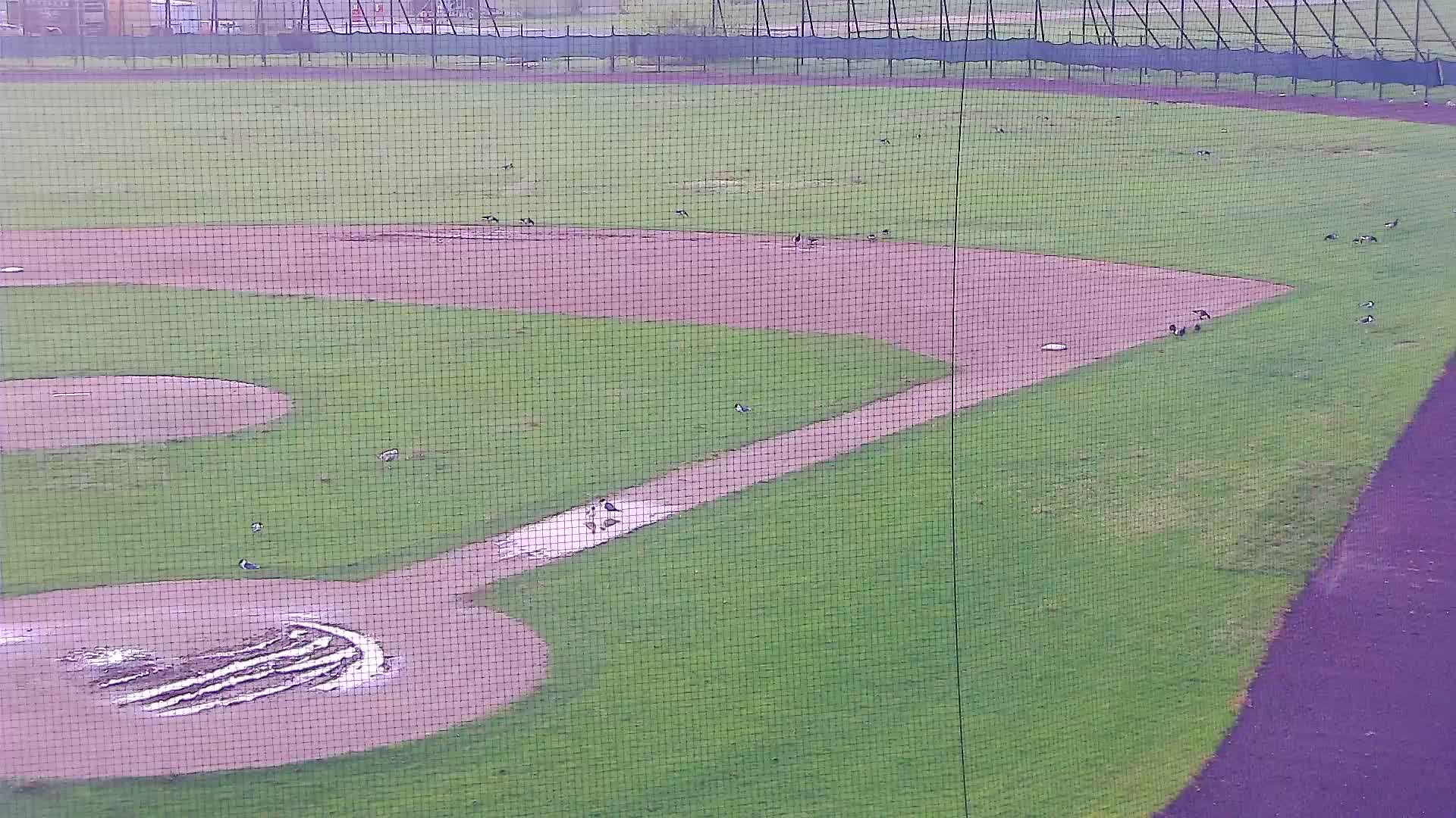Surf Stadium Field 1st Base Side