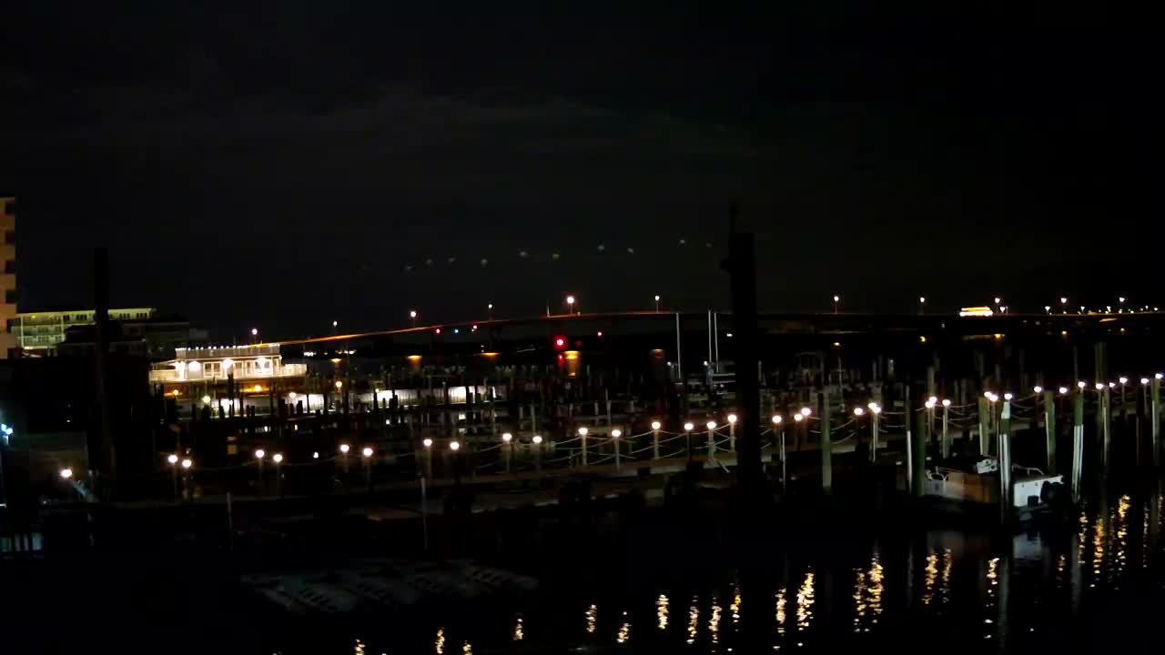 Wet and Wild - Boat Docks