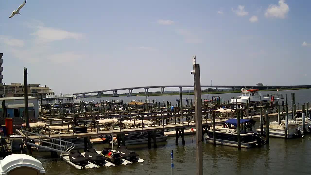 Wet and Wild - Boat Docks
