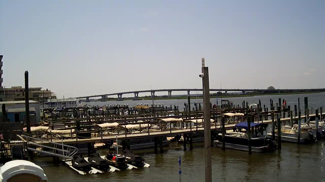 Wet and Wild - Boat Docks