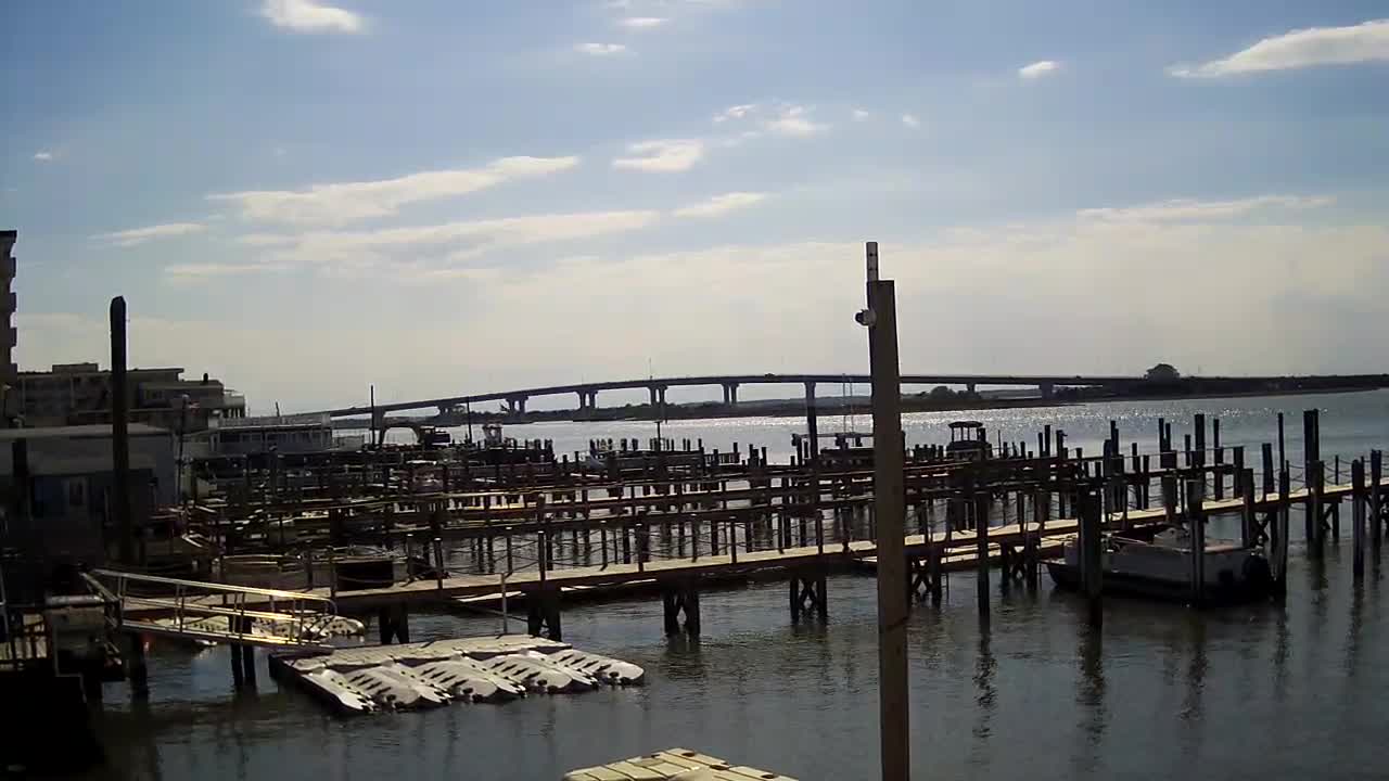Wet and Wild - Boat Docks