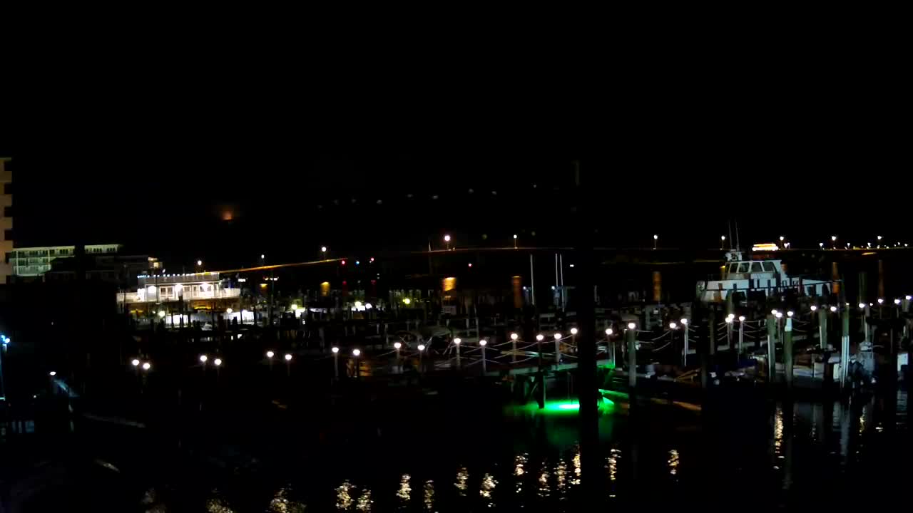 Wet and Wild - Boat Docks