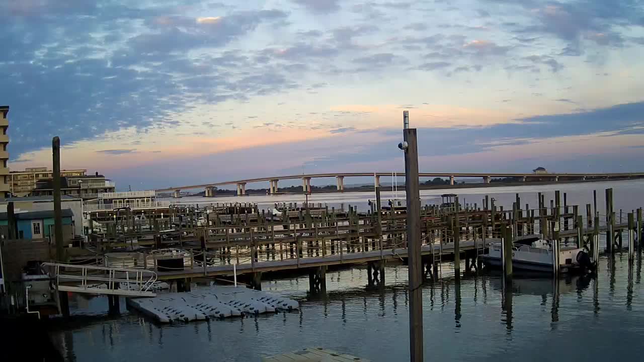 Wet and Wild - Boat Docks