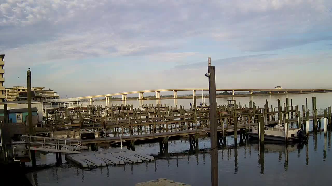 Wet and Wild - Boat Docks