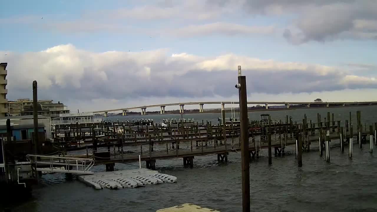 Wet and Wild - Boat Docks
