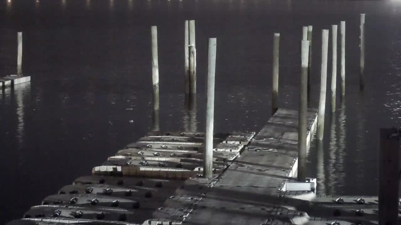 Wet and Wild - Speed Boat and Bridge