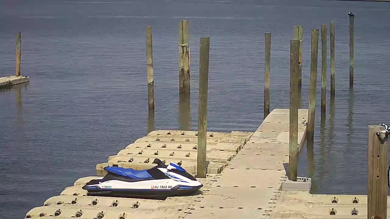 Wet and Wild - Speed Boat and Bridge