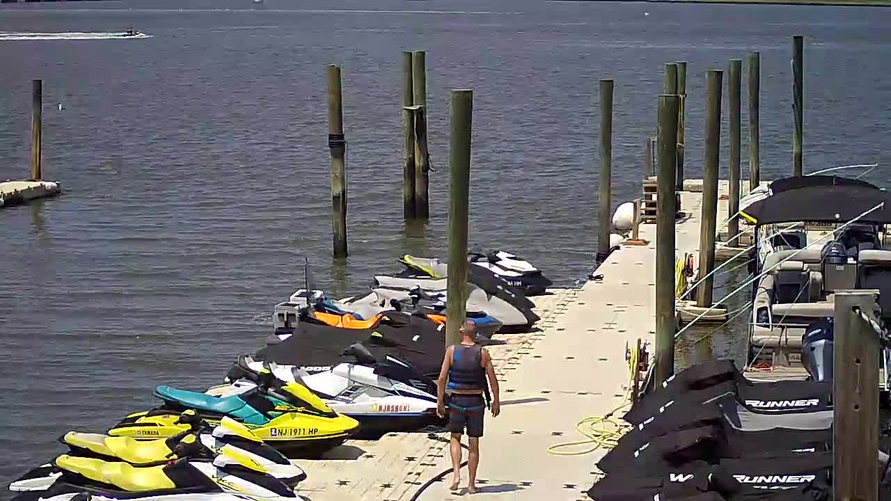 Wet and Wild - Speed Boat and Bridge