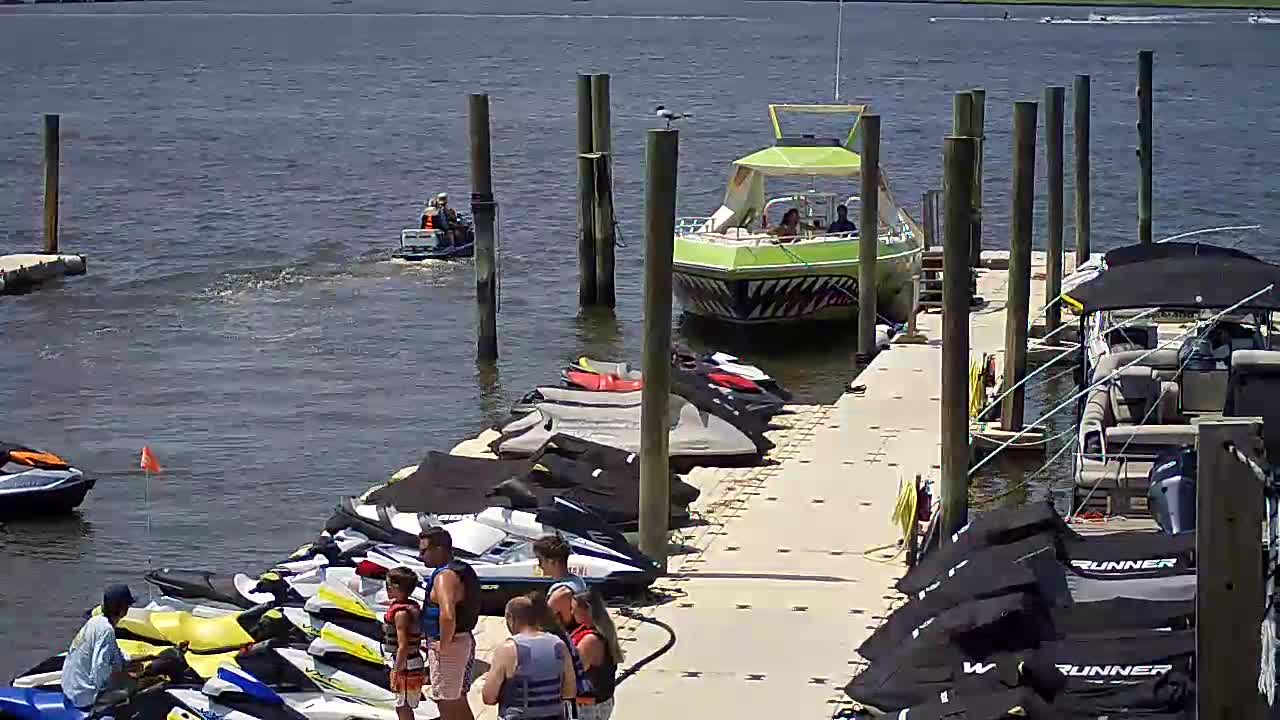 Wet and Wild - Speed Boat and Bridge