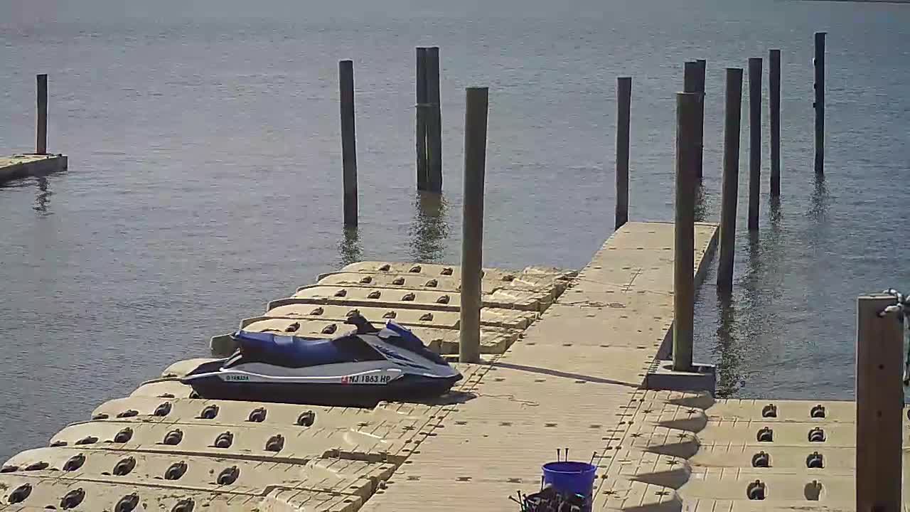 Wet and Wild - Speed Boat and Bridge