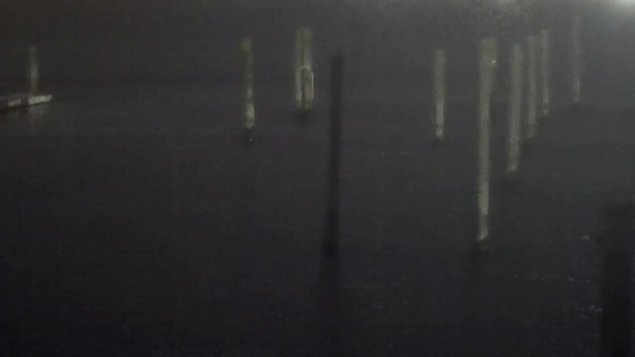 Wet and Wild - Speed Boat and Bridge