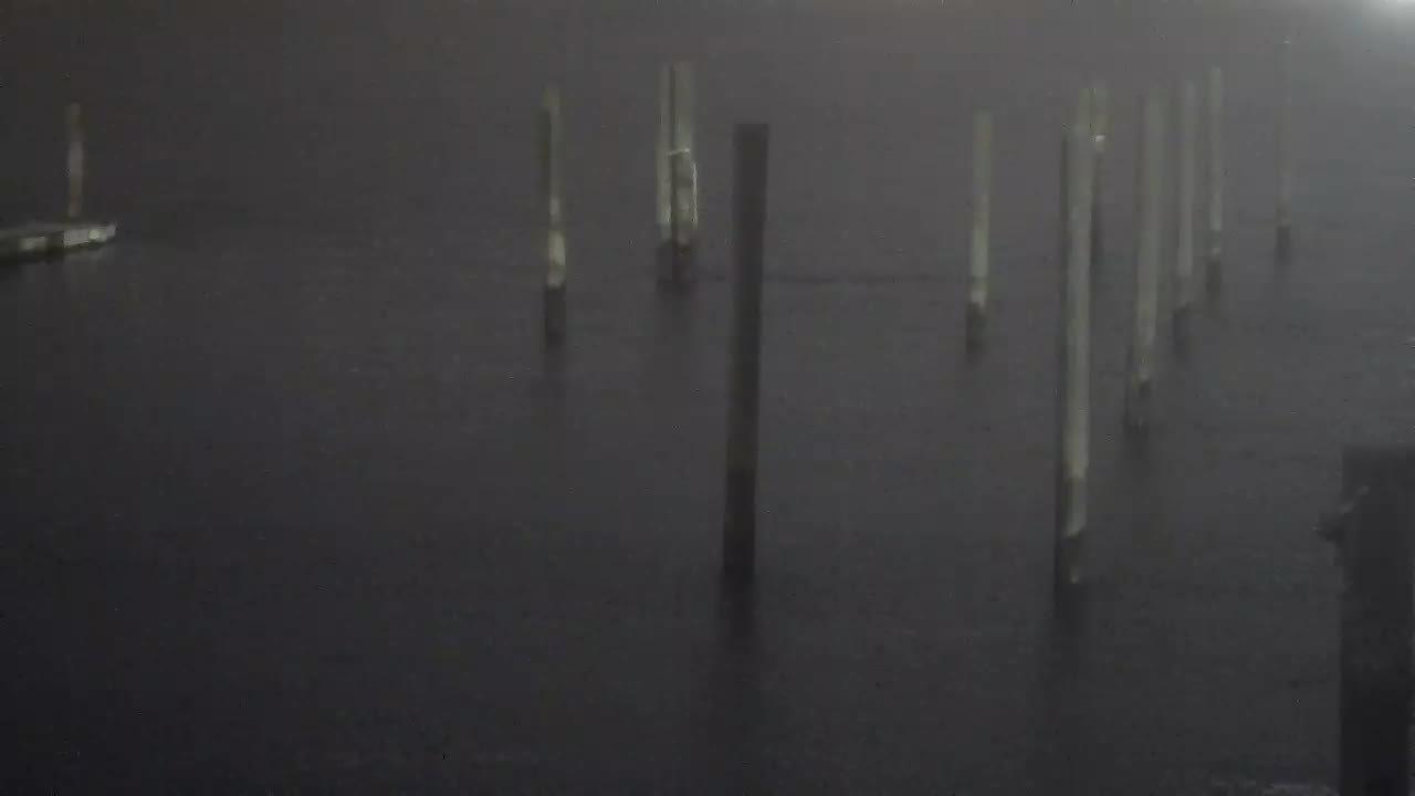 Wet and Wild - Speed Boat and Bridge