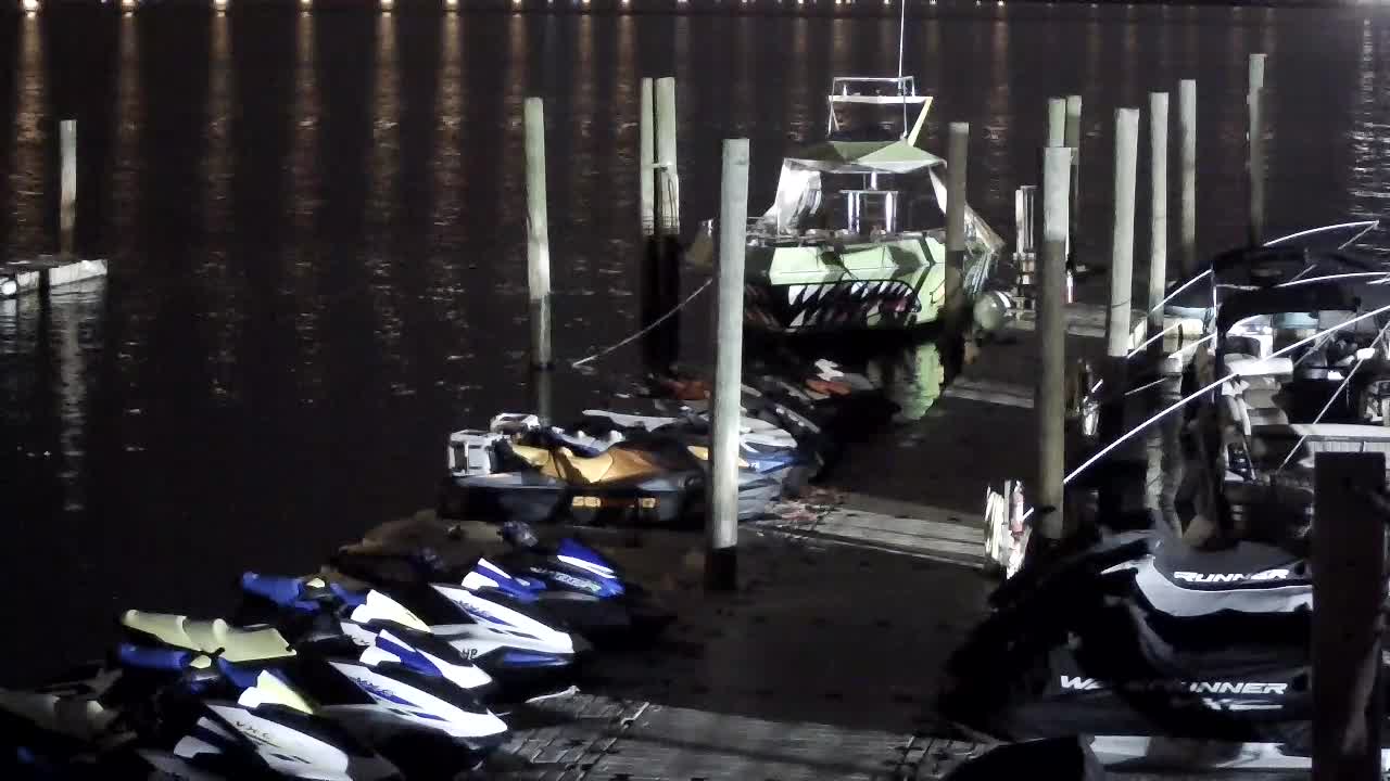 Wet and Wild - Speed Boat and Bridge