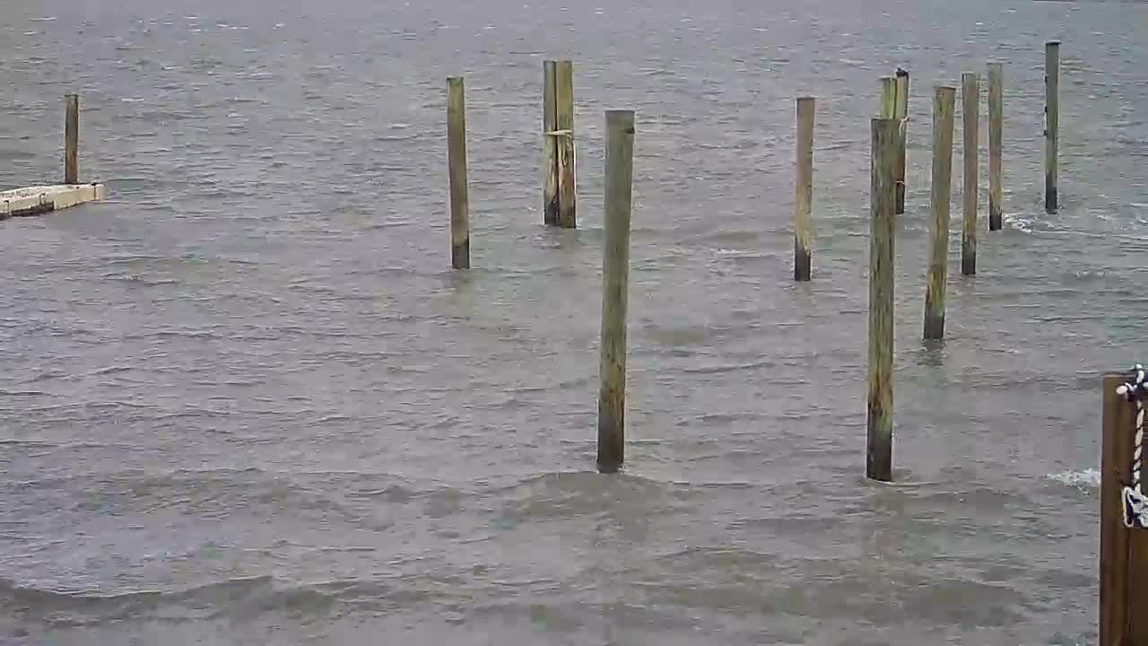 Wet and Wild - Speed Boat and Bridge