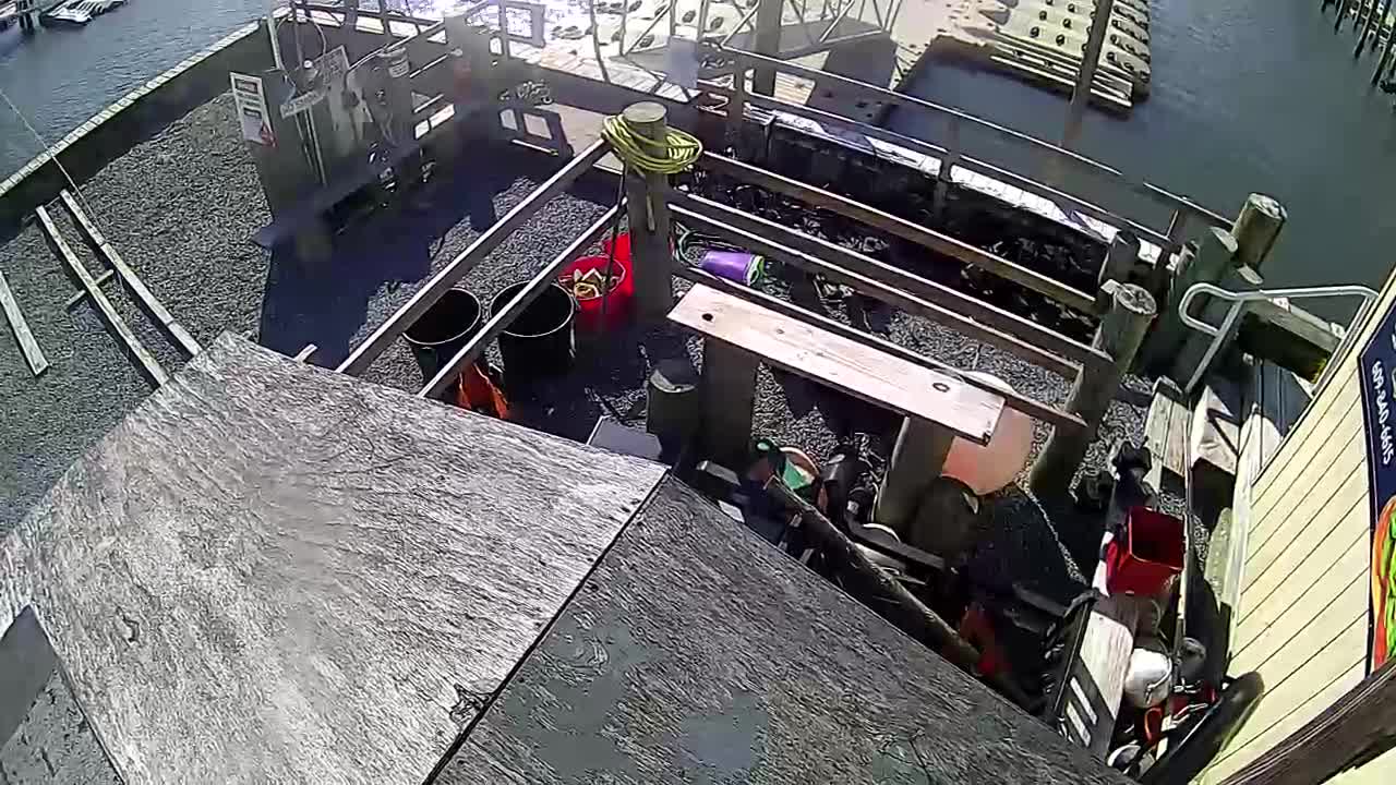 Wet and Wild - Jet Skis and Boat Docks