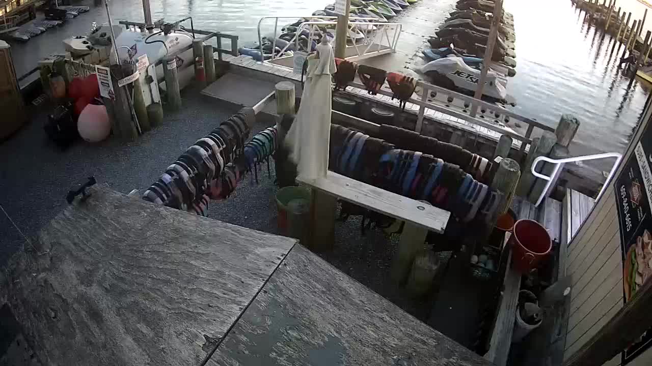 Wet and Wild - Jet Skis and Boat Docks