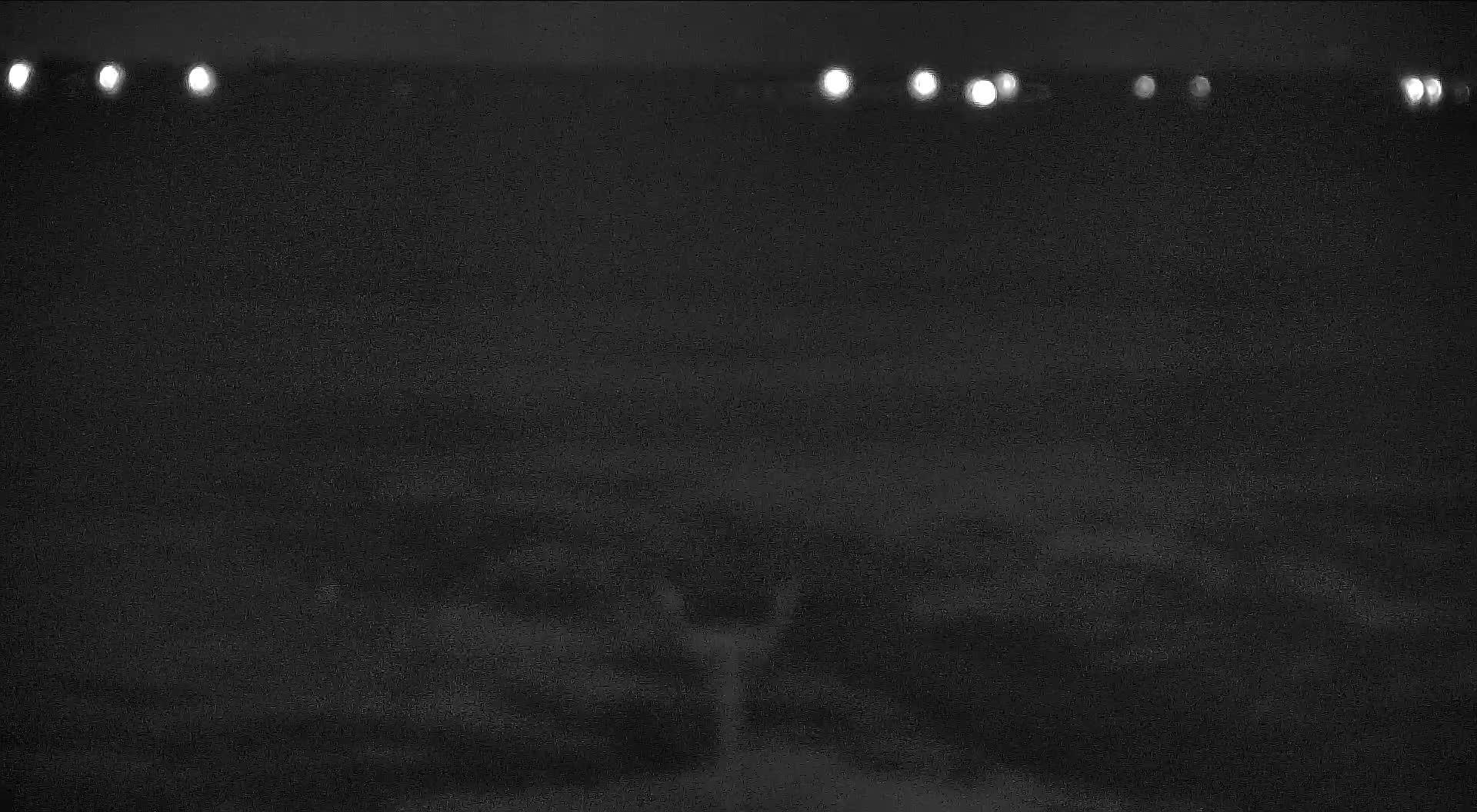 The Wetlands Institute Osprey Nest (Far)