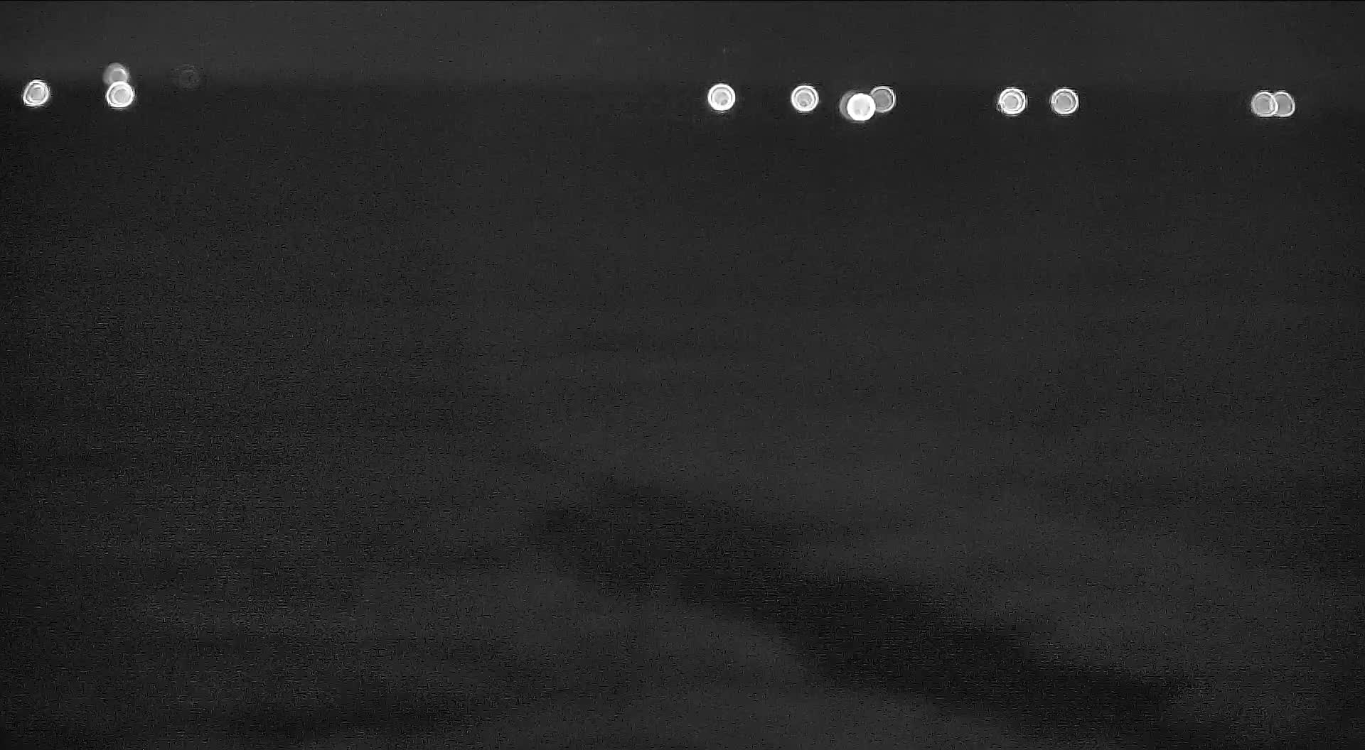 The Wetlands Institute Osprey Nest (Far)