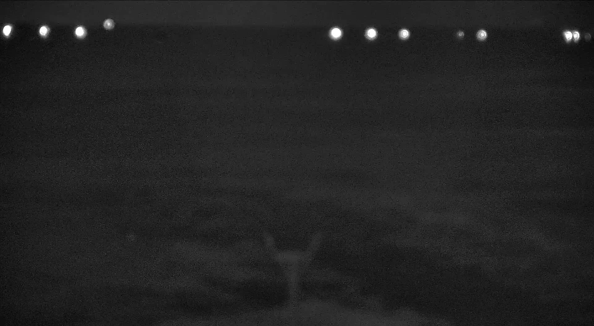 The Wetlands Institute Osprey Nest (Far)