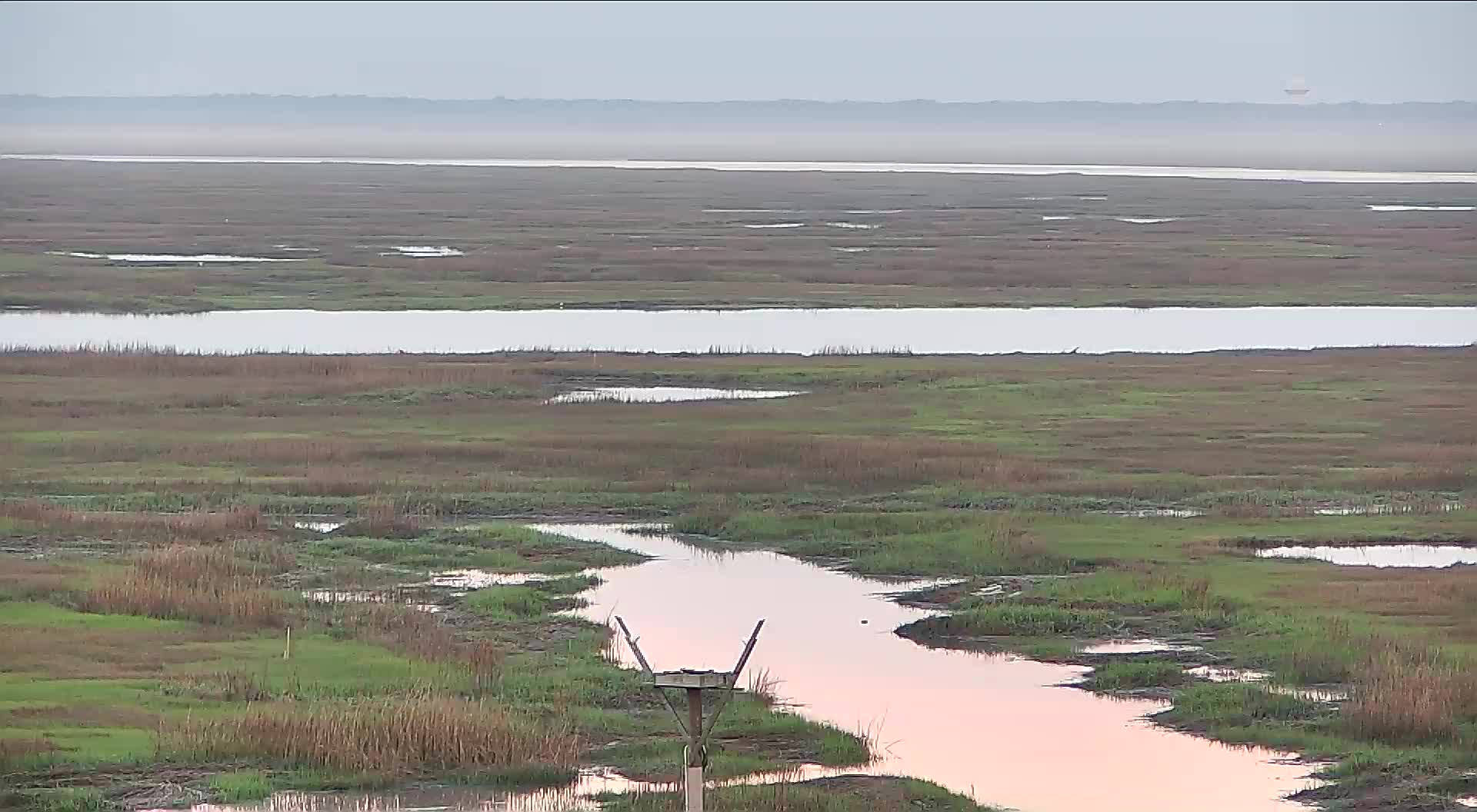 The Wetlands Institute Osprey Nest (Far)