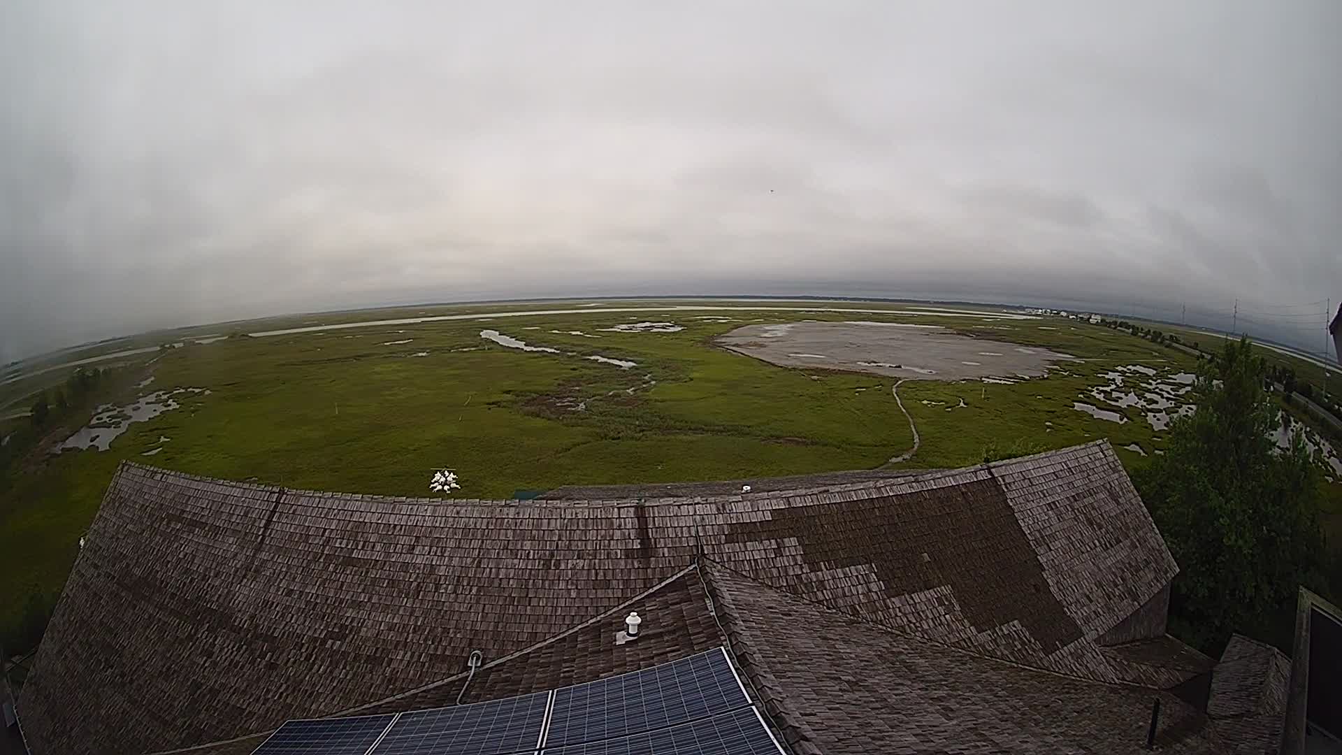 The Wetlands Institute Wetlands Looking Southwest