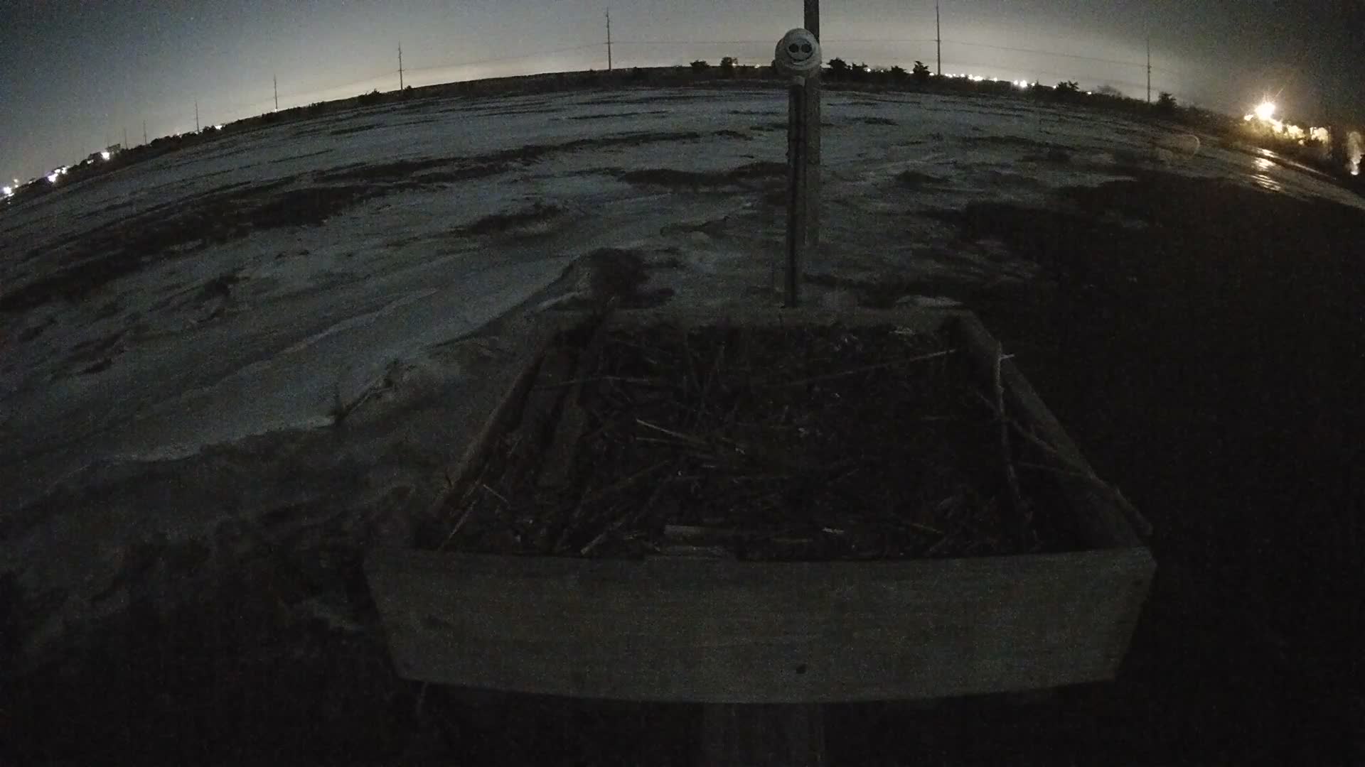 The Wetlands Institute Osprey Cam Closeup HD and Audio 560